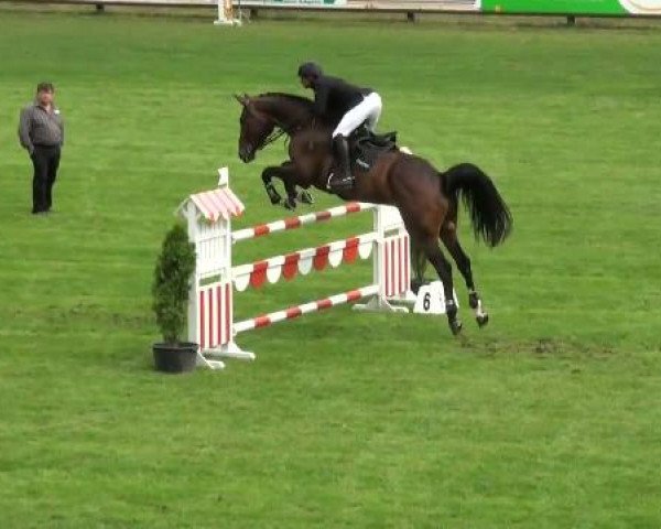 Riesenbeck INTERNATIONAL 2011