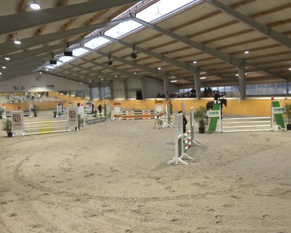 Reitturnier Münster-Amelsbüren 2024