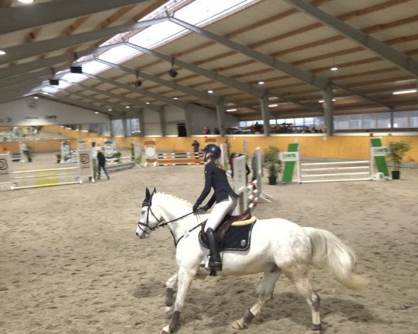 Reitturnier Münster-Amelsbüren 2024