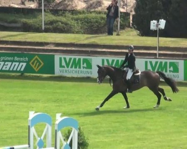 Riesenbeck INTERNATIONAL 2011