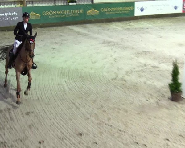 5. Nordic Jumping event Negernbötel 2024