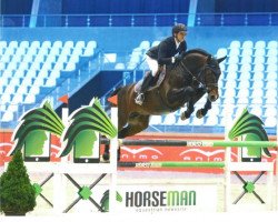 stallion Corydon van T&L (Westphalian, 2011, from Cornado NRW)