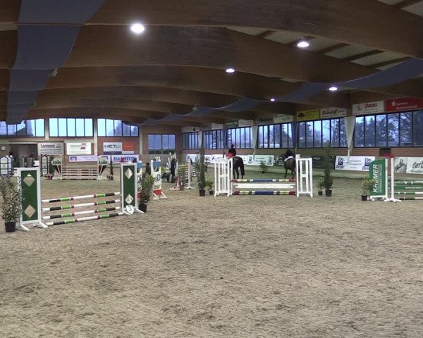 Reitturnier Heiden 2024