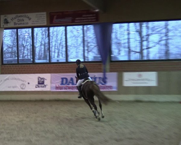 Reitturnier Heiden 2024