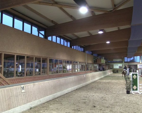 Reitturnier Heiden 2024