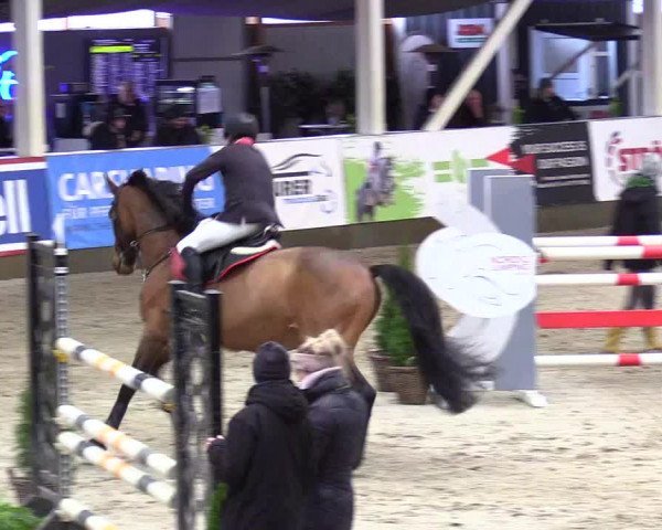 5. Nordic Jumping event Negernbötel 2024
