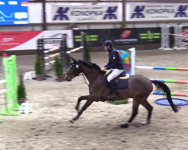 5. Nordic Jumping event Negernbötel 2024