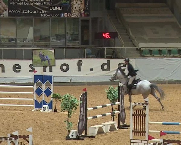 Reitturnier Kreuth/Opf. 2024