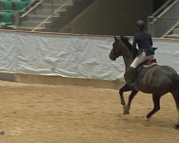 Reitturnier Kreuth/Opf. 2024