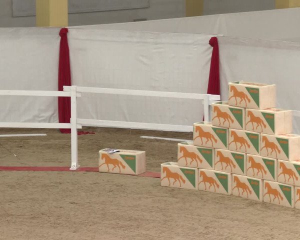 AWÖ Hengsttage 2024