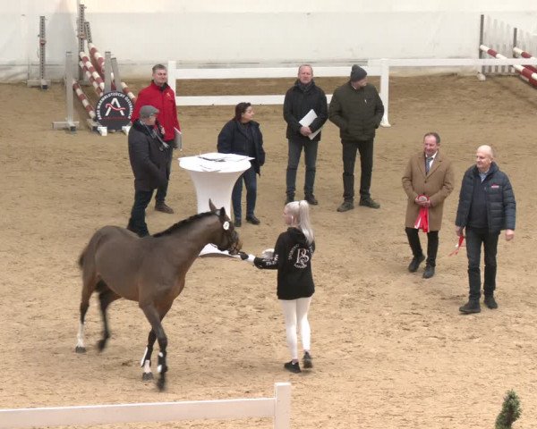 AWÖ Hengsttage 2024