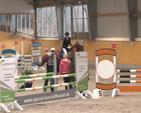 Reitturnier Münster-Amelsbüren 2024