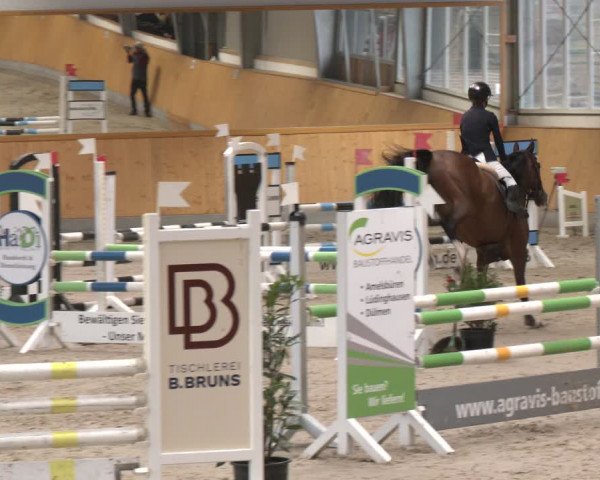 Reitturnier Münster-Amelsbüren 2024