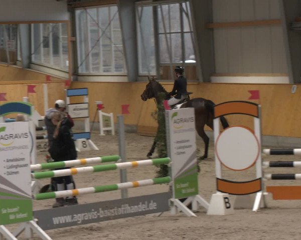 Reitturnier Münster-Amelsbüren 2024