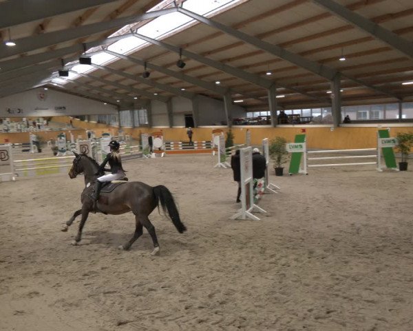 Reitturnier Münster-Amelsbüren 2024