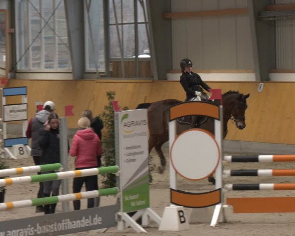 Reitturnier Münster-Amelsbüren 2024