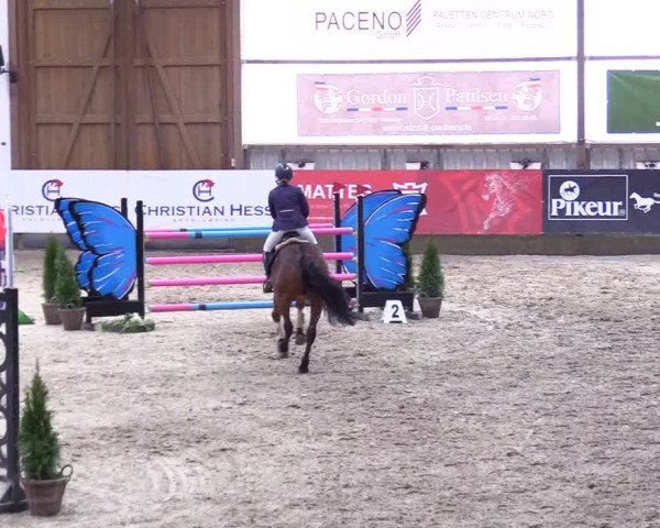 5. Nordic Jumping event Negernbötel 2024