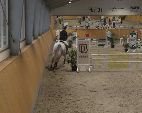 Reitturnier Münster-Amelsbüren 2024