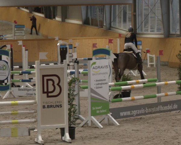 Reitturnier Münster-Amelsbüren 2024