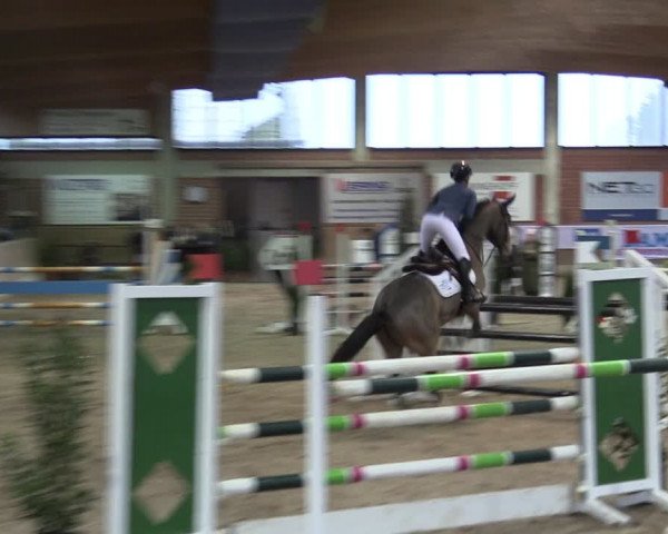 Reitturnier Heiden 2024
