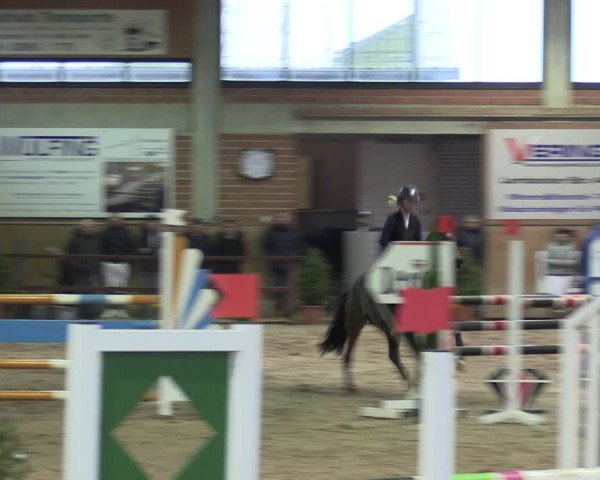 Reitturnier Heiden 2024
