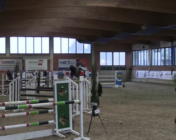Reitturnier Heiden 2024