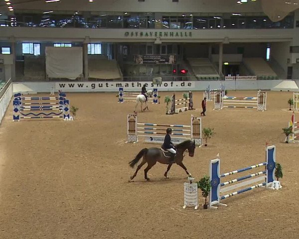 Reitturnier Kreuth/Opf. 2024