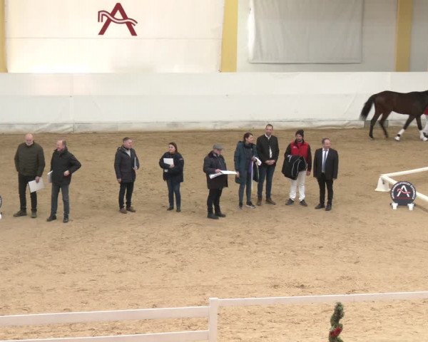 AWÖ Hengsttage 2024
