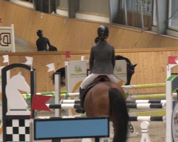 Reitturnier Münster-Amelsbüren 2024