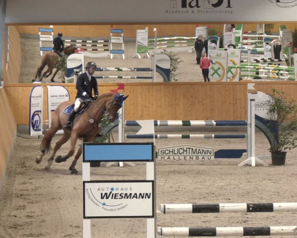 Reitturnier Münster-Amelsbüren 2024