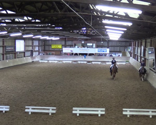 Reitturnier Springe 2024