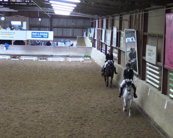 Reitturnier Springe 2024