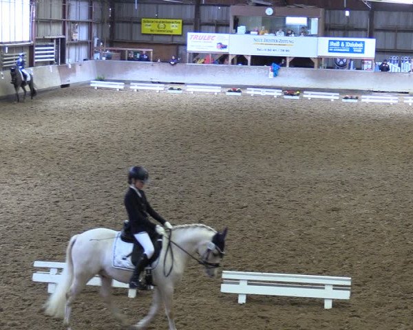 Reitturnier Springe 2024
