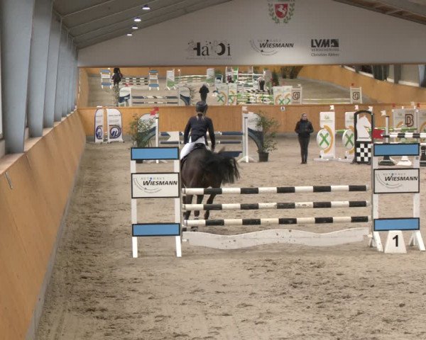 Reitturnier Münster-Amelsbüren 2024