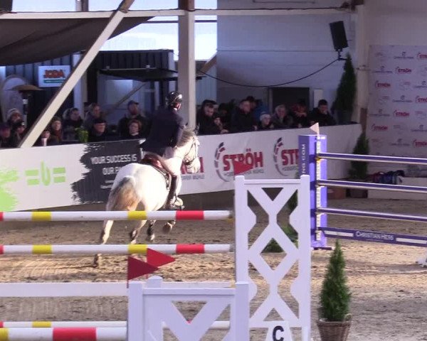 5. Nordic Jumping event Negernbötel 2024