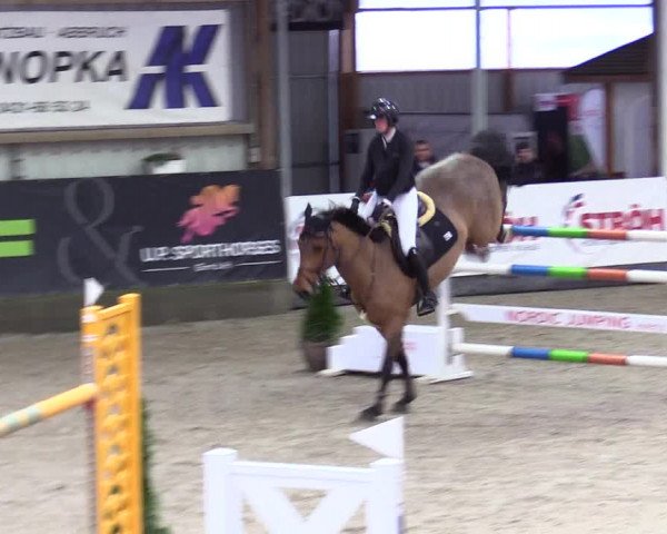 5. Nordic Jumping event Negernbötel 2024