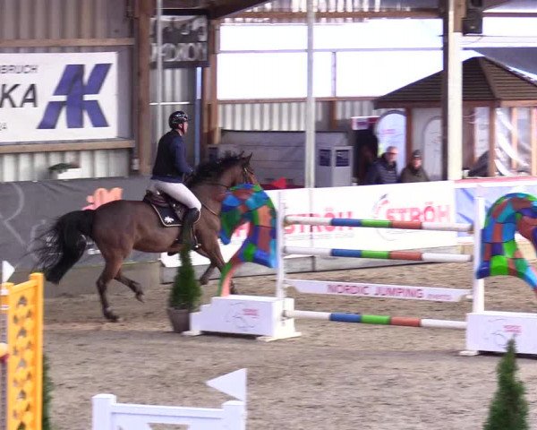 5. Nordic Jumping event Negernbötel 2024