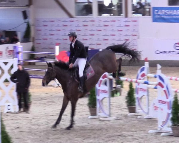 5. Nordic Jumping event Negernbötel 2024