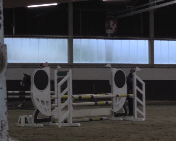 Reitturnier Olfen-Vinnum 2024