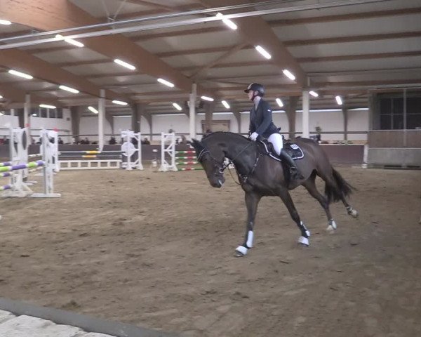 Reitturnier Olfen-Vinnum 2024