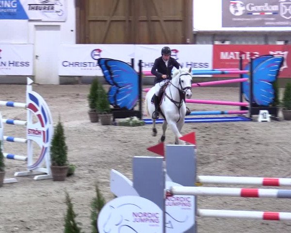 5. Nordic Jumping event Negernbötel 2024