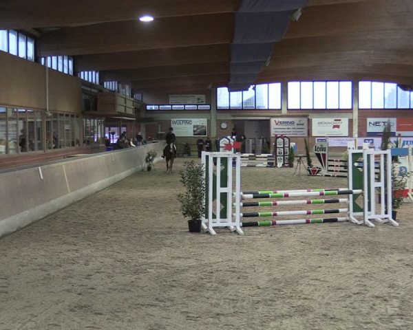 Reitturnier Heiden 2024