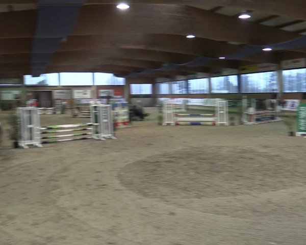 Reitturnier Heiden 2024