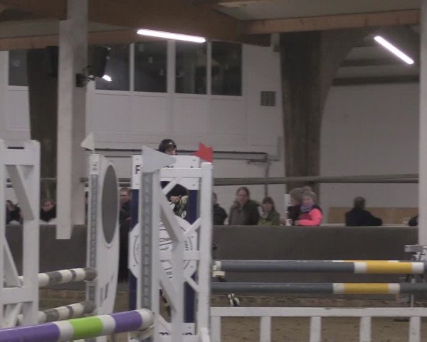 Reitturnier Olfen-Vinnum 2024