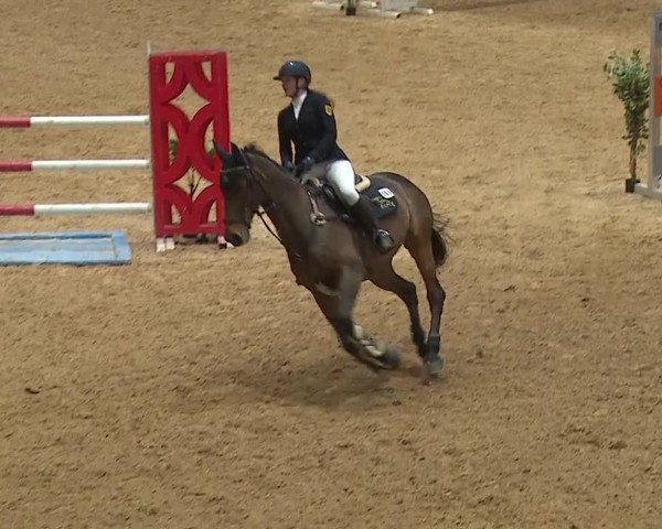 Reitturnier Kreuth/Opf. 2024