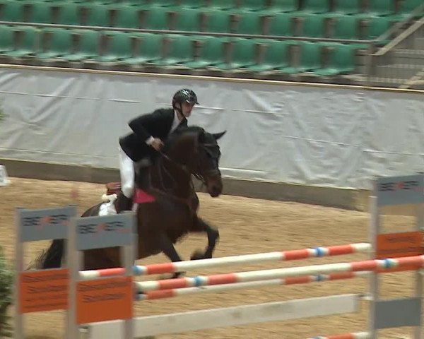 Reitturnier Kreuth/Opf. 2024