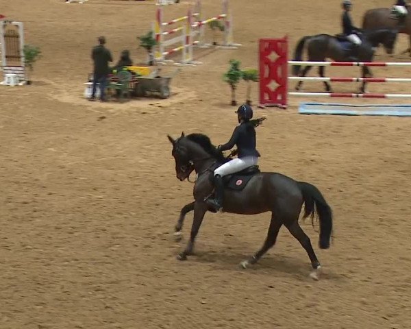 Reitturnier Kreuth/Opf. 2024