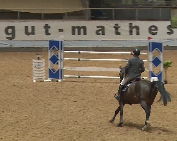 Reitturnier Kreuth/Opf. 2024