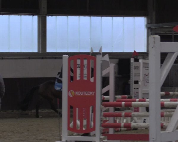 Reitturnier Olfen-Vinnum 2024