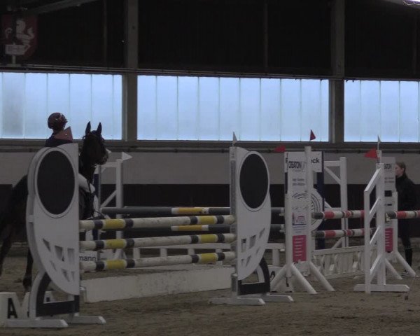 Reitturnier Olfen-Vinnum 2024